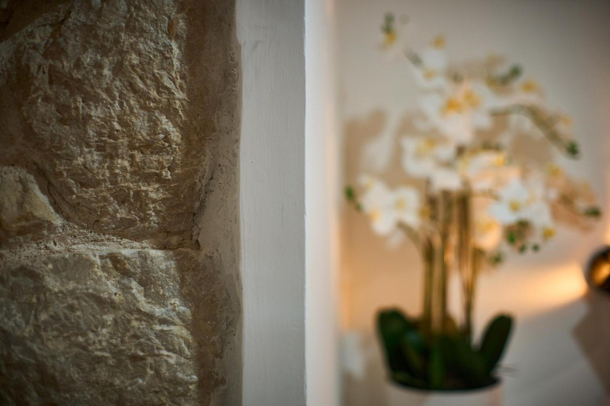 Bernard Deluxe Renovated Peaceful Old Town Gem Apartment Split Exterior photo